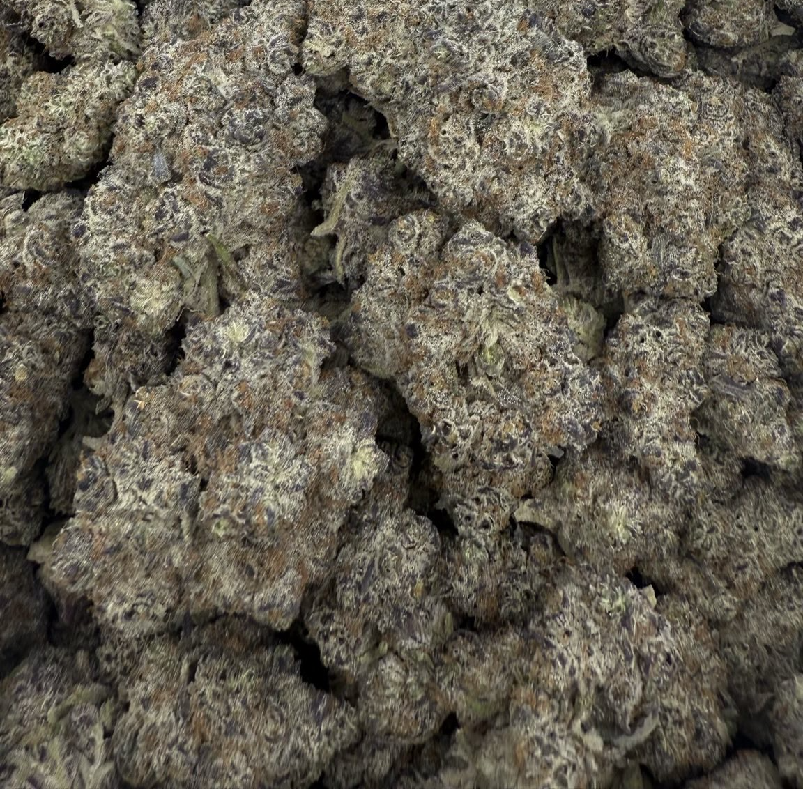 Exotic THCA Flower (I) Black Truffle / 1G